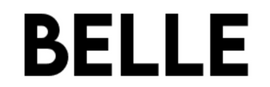 Belle Basics